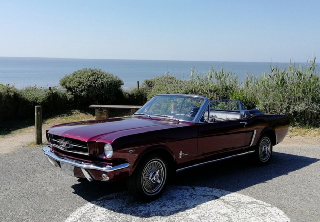 Ford MUSTANG 1964 BORDEAUX NACRE