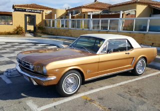 Ford MUSTANG  1964 Bronze 