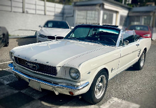 Ford MUSTANG 1966 BLANC