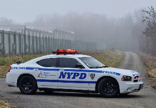 Dodge Charger 2008 Blanc 