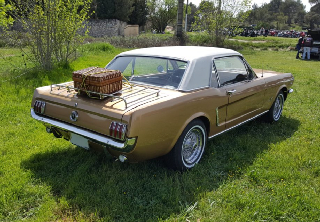 Ford MUSTANG  1964 Bronze 