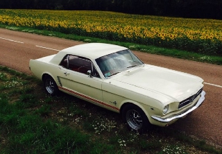 Ford Mustang 1965 blanc ivoire