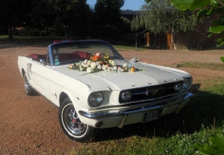 Ford Mustang 1966 Blanche