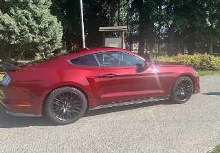 Ford Mustang 2015 Ruby