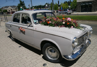 Peugeot 403 1965 gris clair