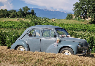 Renault 4CV 1954 BLEU LAVANDE